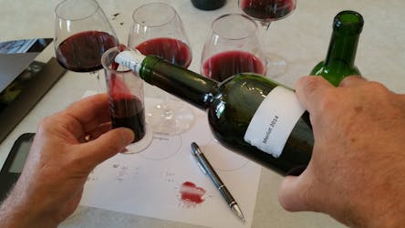 Wine tasting and creation of your own wine in Bordeaux